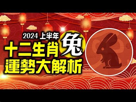 兔2024運勢